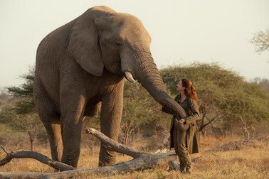 Kate devine cea mai bună prietenă a elefanților / Foto: Netflix