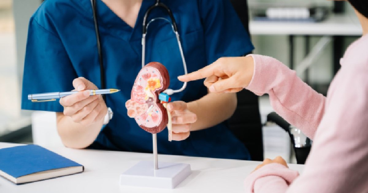 Intr-un cabinet stă o femei care priveste la mainile unei femei medic ce explica aparatul urinar. Femeie medic urolog