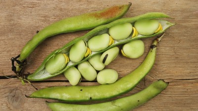 ce-este-bobul-retete