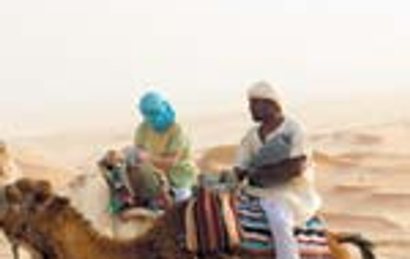 Tiganii in desert
