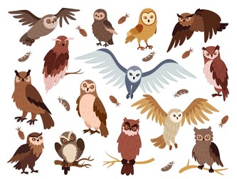 foto:Shutterstock.com