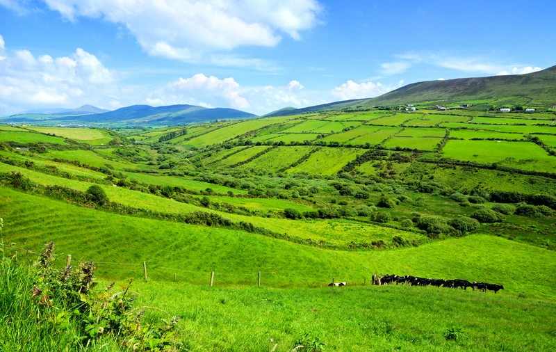 INVESTIGAȚIE Cum a fost avertizat un europarlamentar român de o mare organizație care face lobby pentru agricultura intensivă, contra celei verzi și micilor fermieri și care are legături strânse cu industria pesticidelor