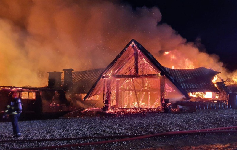 România fără autorizație ucide. Câteva cazuri recente ne arată iarăși cum