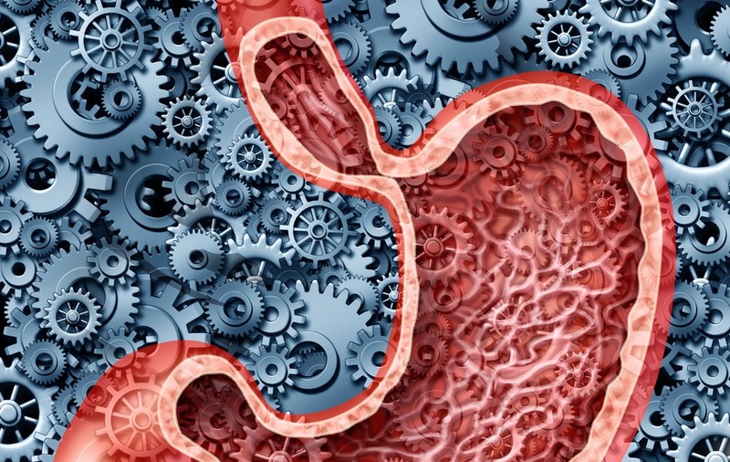 Cartoful crud: Ce conţine şi ce beneficii are pentru organism