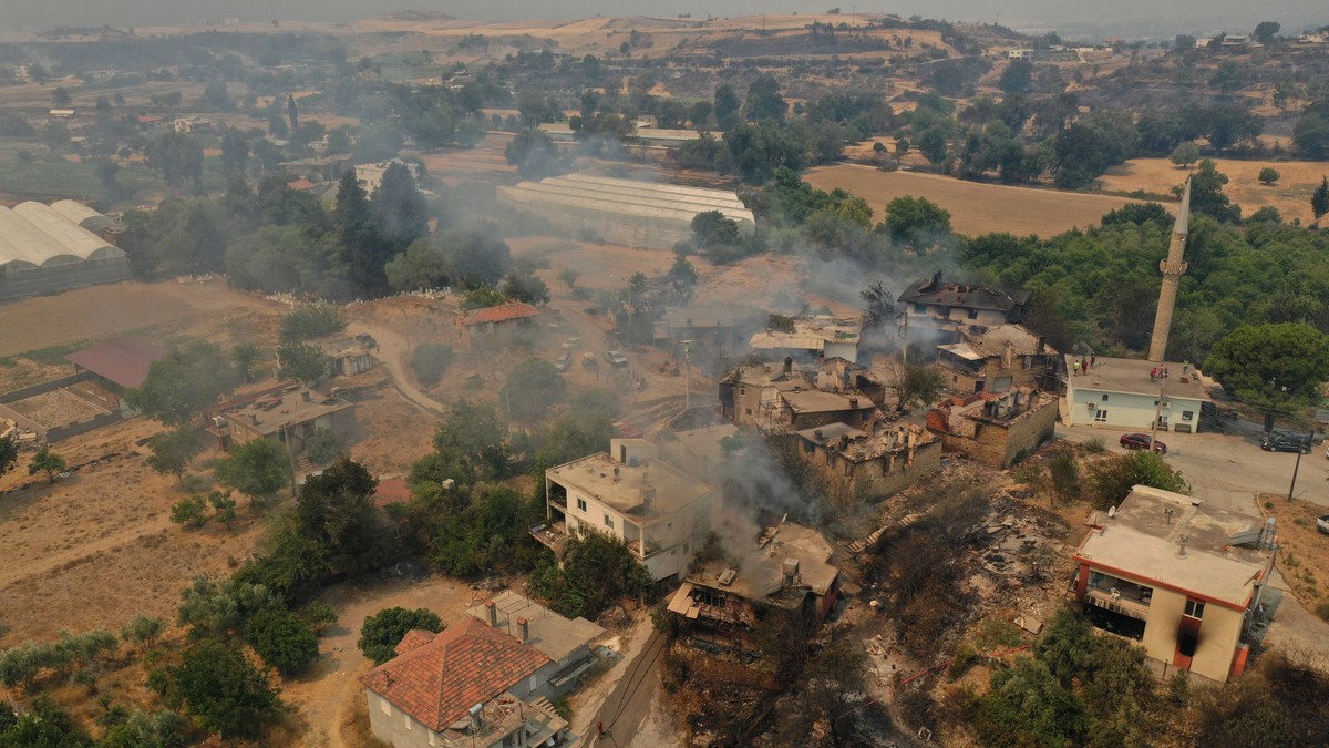 Arhiva foto