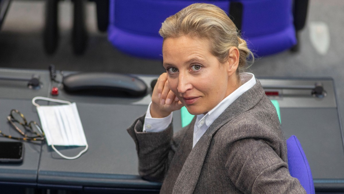 Alice Weidel, copreședinta AfD Foto: Imago