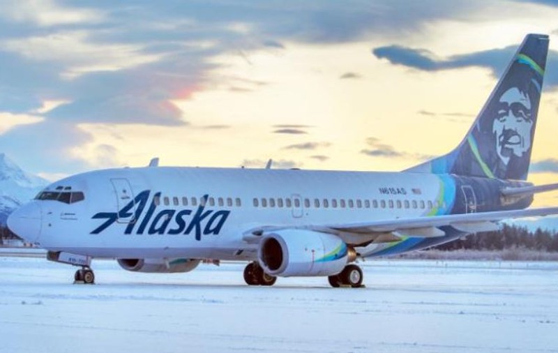 Accident aviatic bizar: urs lovit de avion în timpul aterizării