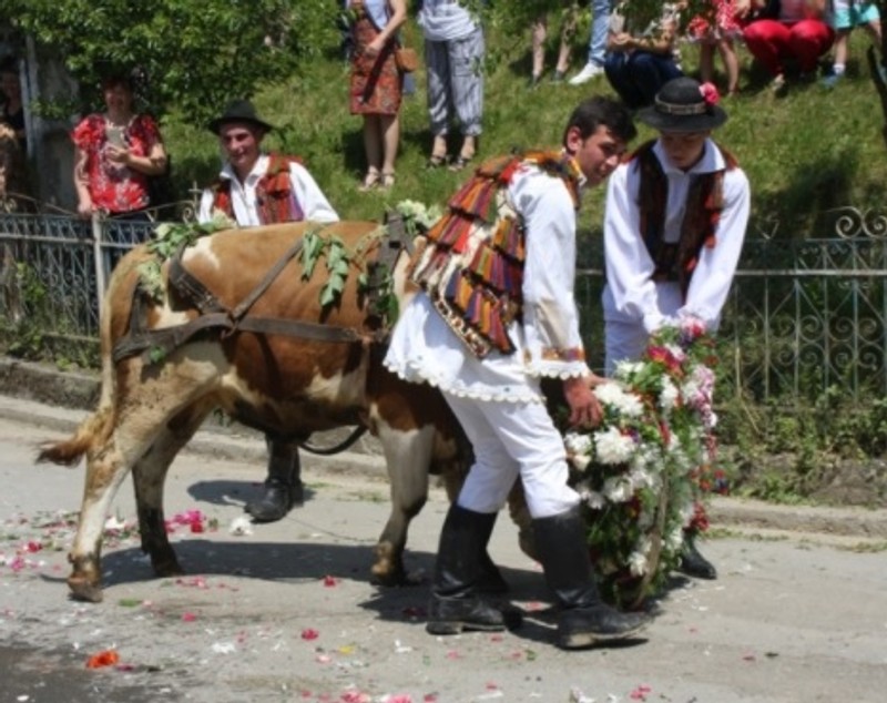 Fetele din Figa nu rămân nemăritate nici anul acesta. Tradiția, respectată cu sfințenie de sute de ani în județul Bistrița-Năsăud