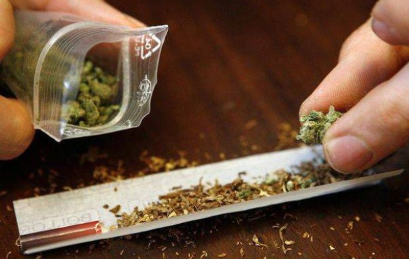 Trei elevi din Suceava, prinşi cu zeci de ghivece de cannabis. Le spuneau părinţilor că sunt pentru ora de botanică