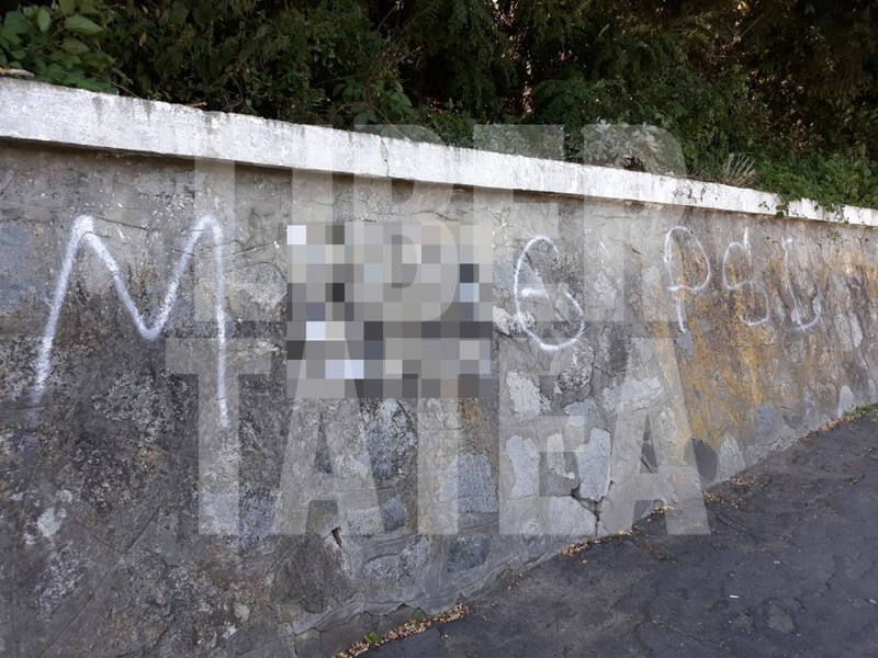 Gardul Casa Memoriale Liviu Rebreanu, din Prislop, județul Bistrița-Năsăud, după mesaj