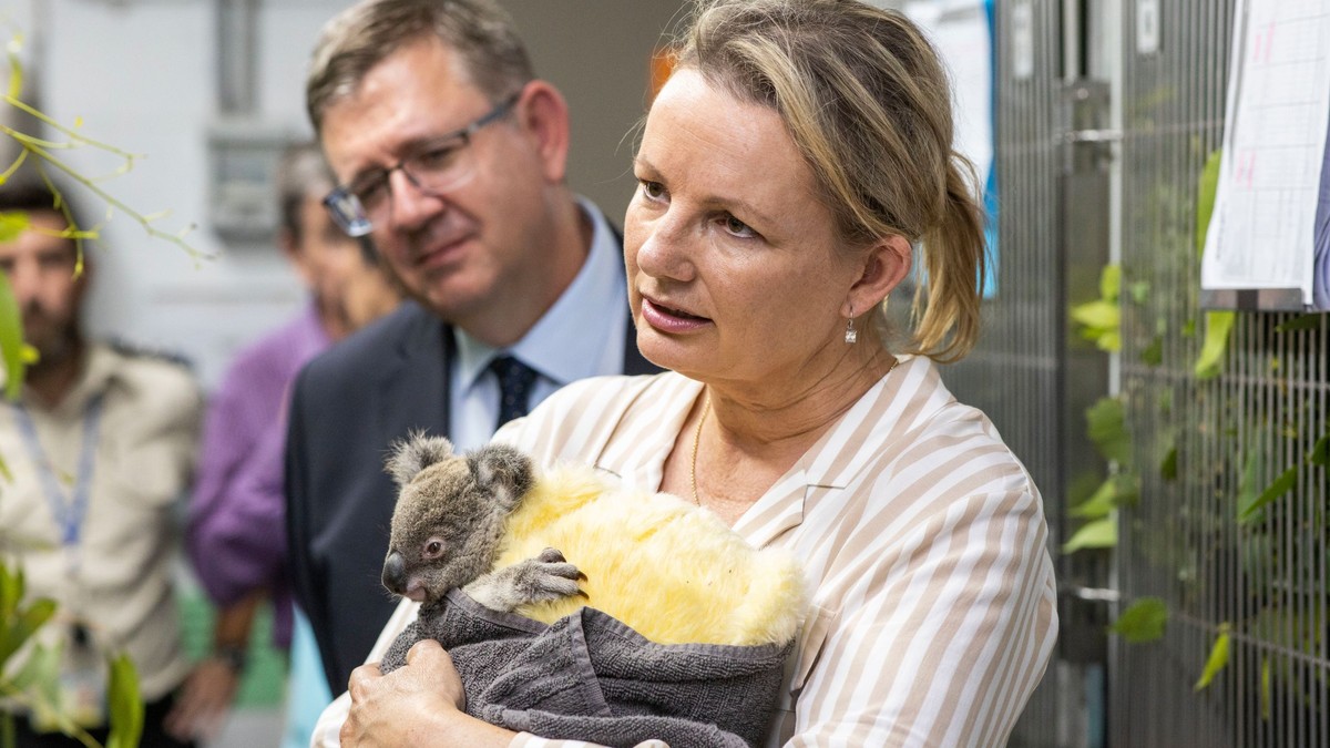 113 specii de animale din Australia, în pericol