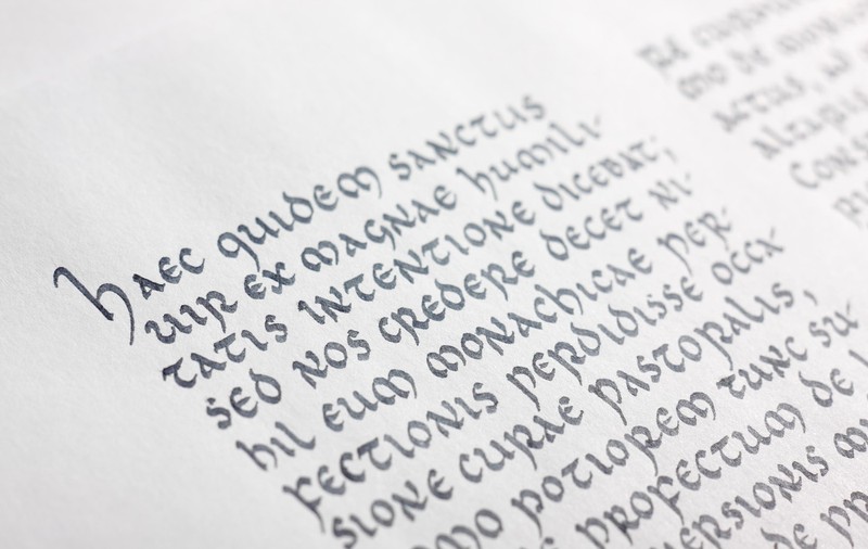Revolta specialiștilor în studii clasice, după scoaterea limbii latine din programa școlară: „O bună parte din politicieni au un nivel de cultură submediocru”