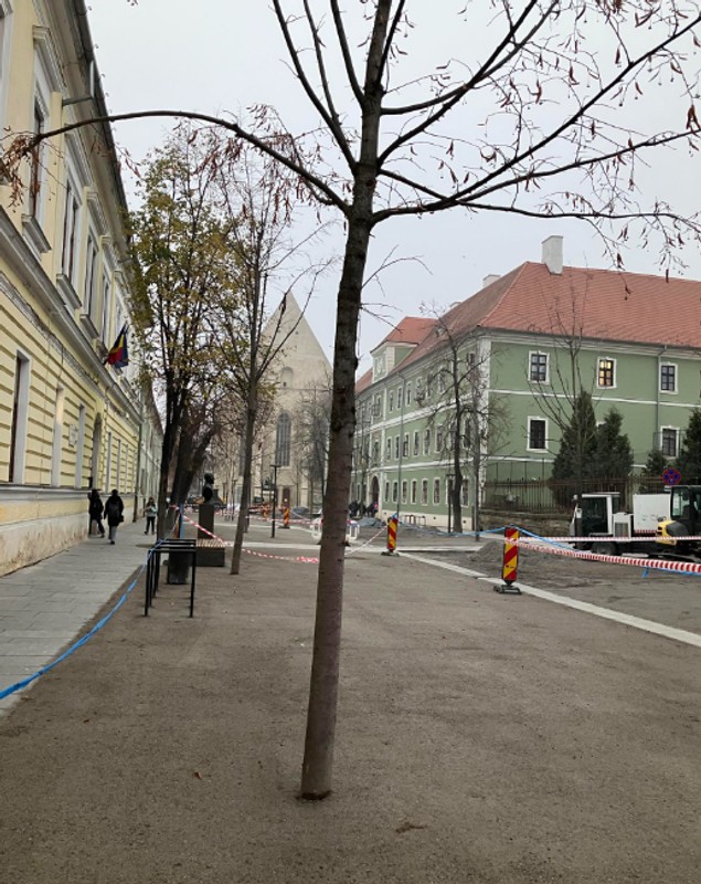 Muncitorii au turnat pietriș tasat în jurul copacilor, pe o stradă din centrul orașului Cluj-Napoca. RADP: „Nu mai suntem în asociere, nu am luat nici un leuț”