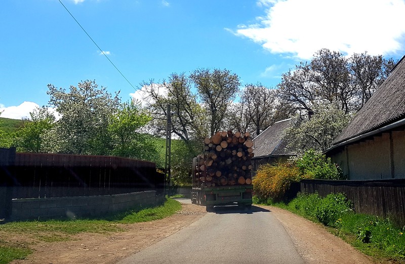 Camion cu lemne pe un drum din Ojdula, judeţul Covasna