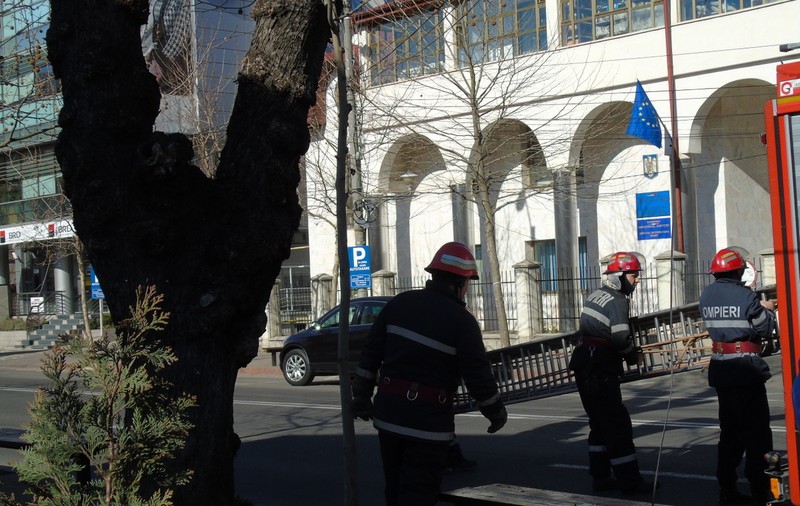 Desfăşurare impresionantă de forţe pentru salvarea unei vrăbiuţe! FOTO&VIDEO