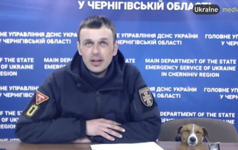 Faimosul câine Patron, care salvează zilnic ucrainenii de minele lăsate în urmă de ruși, surprins când trage un pui de somn în timpul unei conferințe de presă