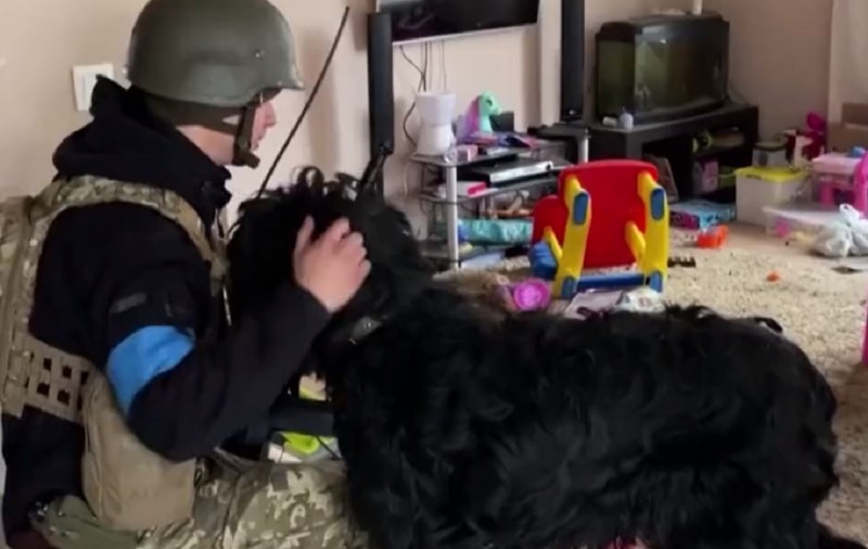 VIDEO | Soldații ucraineni au salvat un câine abandonat într-un apartament părăsit din Kiev