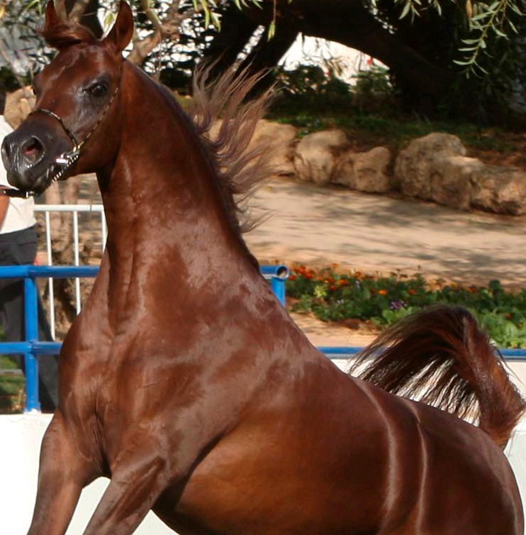 Arhiva foto