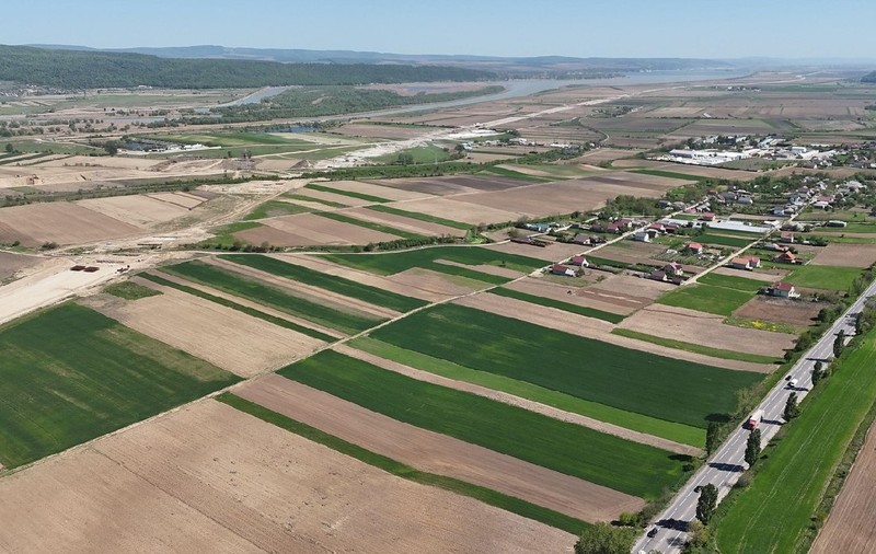 Cât costă un hectar de teren agricol în județele din sudul țării, în 2025