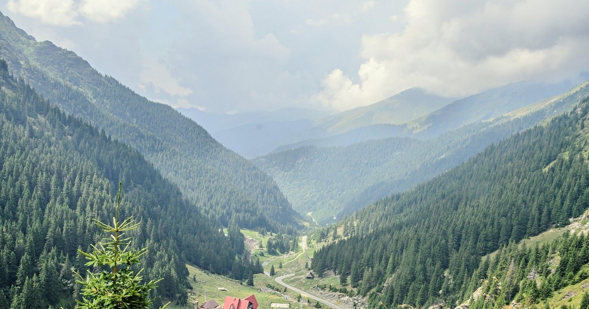 Arhiva foto