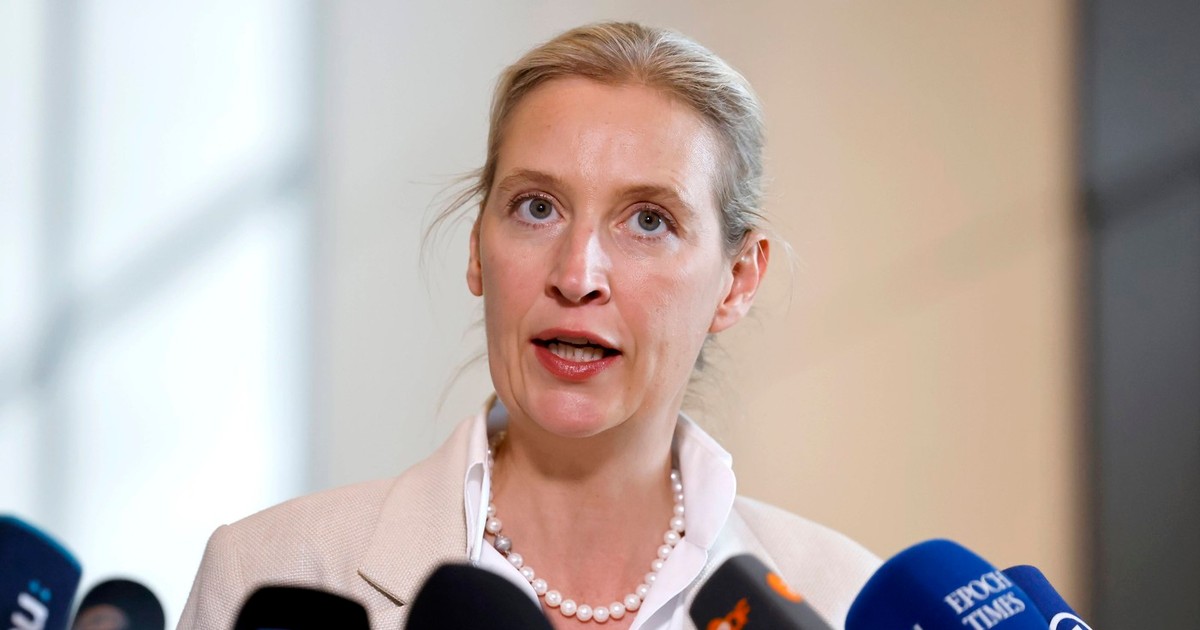 Alice Weidel, co-președinta AfD Foto: Profimedia