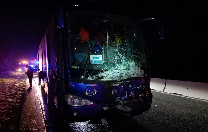 Taur lovit de un autocar plin cu turiști, pe DN1, la Potigrafu. Traficul spre București este întrerupt
