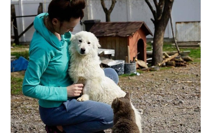 Povestea fundației ROLDA: de la primul cățel adoptat până la zeci de mii de animale salvate