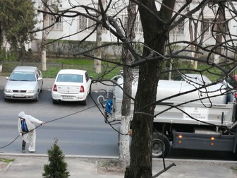 Arhiva foto