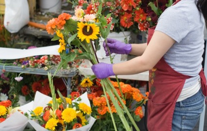 Primăria Sectorului 6, ”fabrică” de barmani, frizeri, patiseri  și florari
