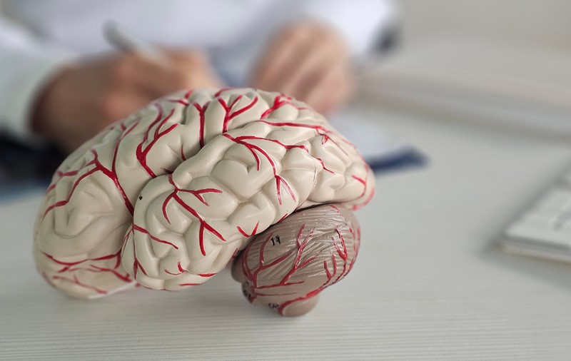 De ce are nevoie creierul pentru a rămâne sănătos: 17 metode simple, recomandate de neurologi la orice vârstă