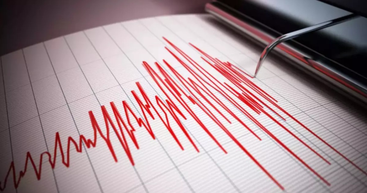 Un seismograf care înregistrează magnitudinea unui cutremur