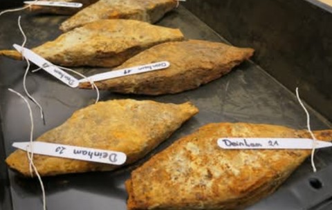 Muncitorii unei balastiere de pe Dunăre au descoperit cel mai mare tezaur de fier antic din Europa. Sursă foto:Facebook /Live Science.