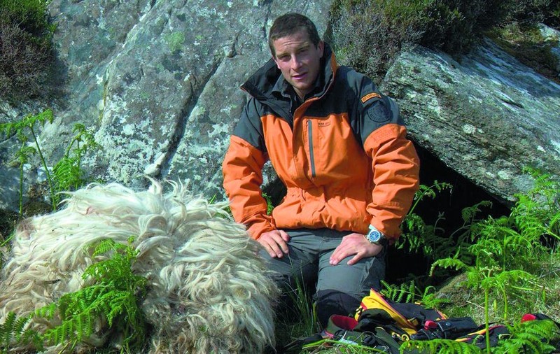 S-a hrănit cu fecale de urs în România