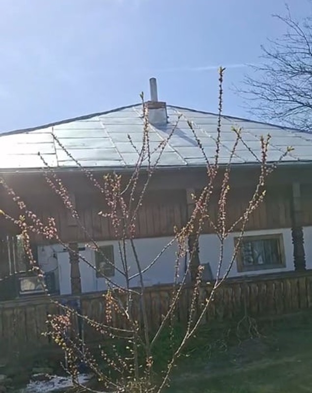 Noi imagini cu Puya la țară. Cum arată curtea și casa renovată: „Costă foarte puțin”