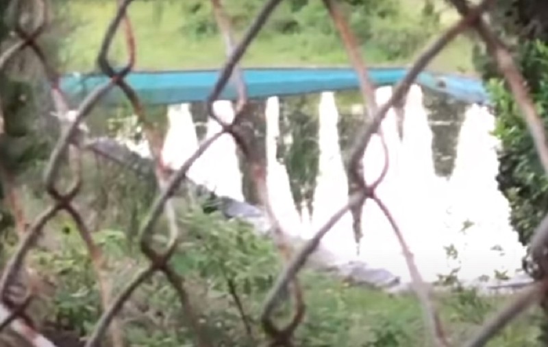 VIDEO | Fetița unei românce din Italia a fost găsită moartă, la 2 kilometri de casă