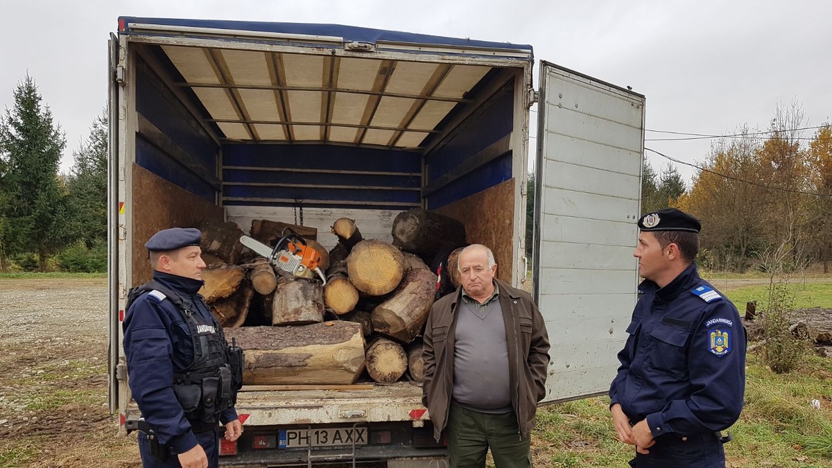 Pădurar din Prahova, prins la furat lemn