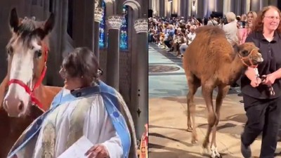 cu animalele la biserica