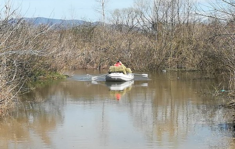 Un cioban cu 200 de oi a rămas captiv din cauza apelor