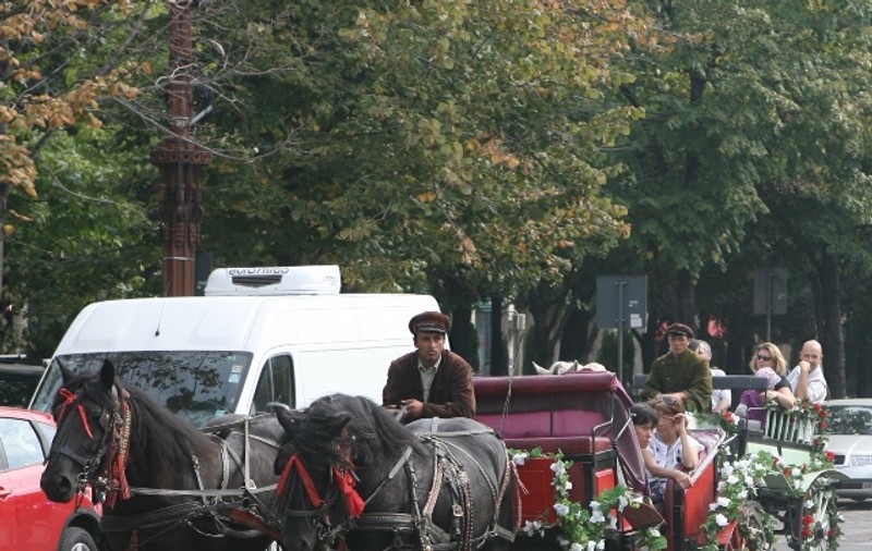 Plimbări cu trăsura şi poneii în centrul Capitalei. Vezi ce evenimente sunt organizate de Florii