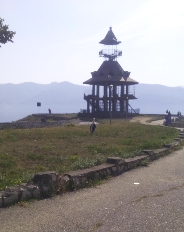 O barză s-a rătăcit în parcul din Orşova GALERIE FOTO