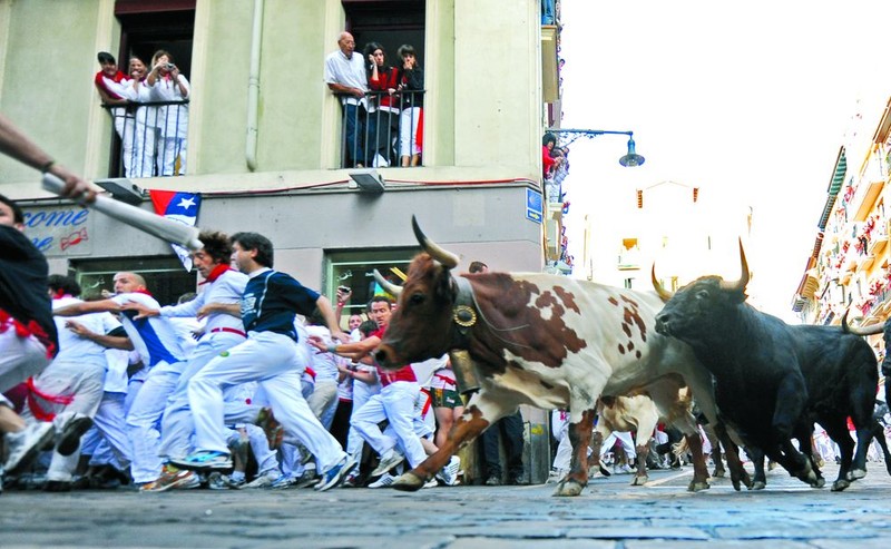 Arhiva foto