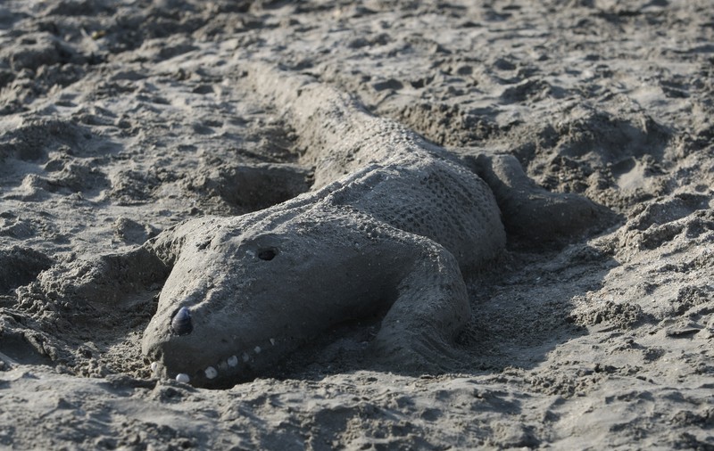 Balene eșuate și crocodili la malul Mării Negre. Animăluțele din nisip sunt opera unor artiști de-o schioapă