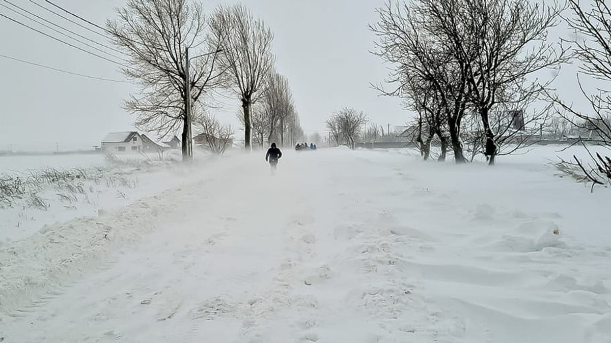 Arhiva foto