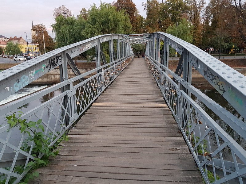 Podul Elisabeta, către Parcul Central