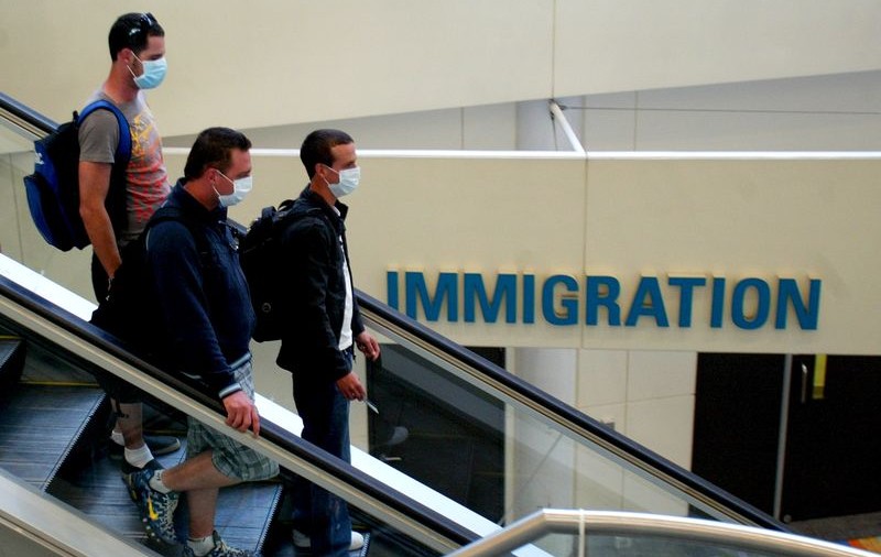 În Australia gripa porcină poate omorî 6000 de oameni