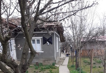 Arhiva foto