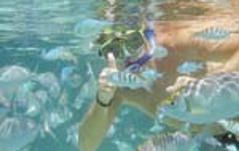 SCUFUNDARI IN MALDIVE