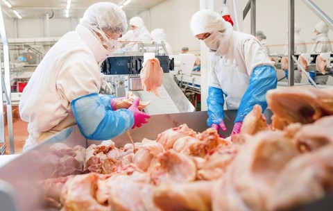 Oameni lucrând într-o fabrică de procesare a cărnii de pui. Foto: Shutterstock