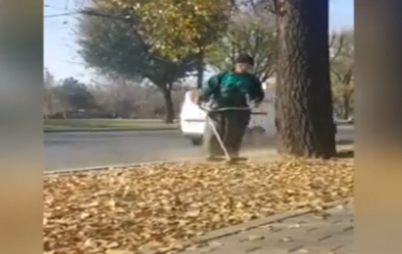 Muncitorii din Iași, filmați când "strângeau frunze" cu mașina de tuns iarba. Imaginile au devenit virale / VIDEO