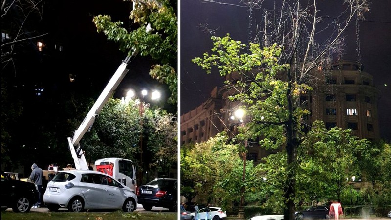 Compania Primăriei București a început să pună beculețele de Crăciun în pomii de pe bulevardele centrale ale orașului